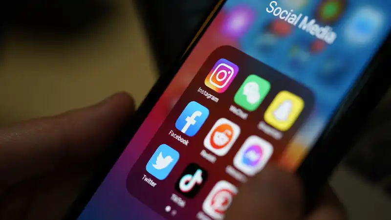 Organic Social Media