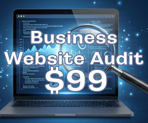 website audit