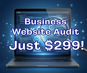 website audit
