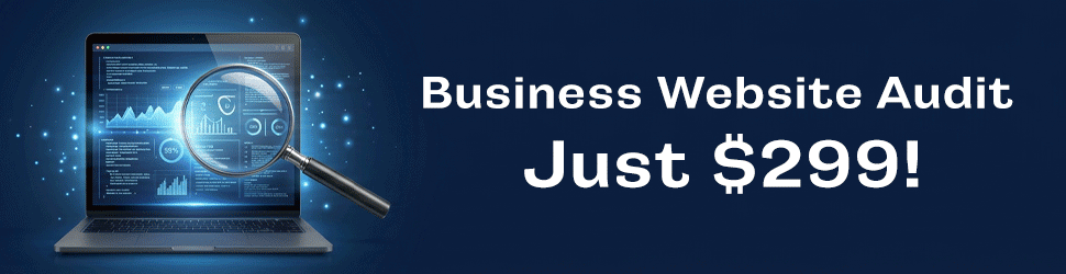 Banner featuring a laptop with blue data visuals and a magnifying glass, promoting a business website audit for $299.